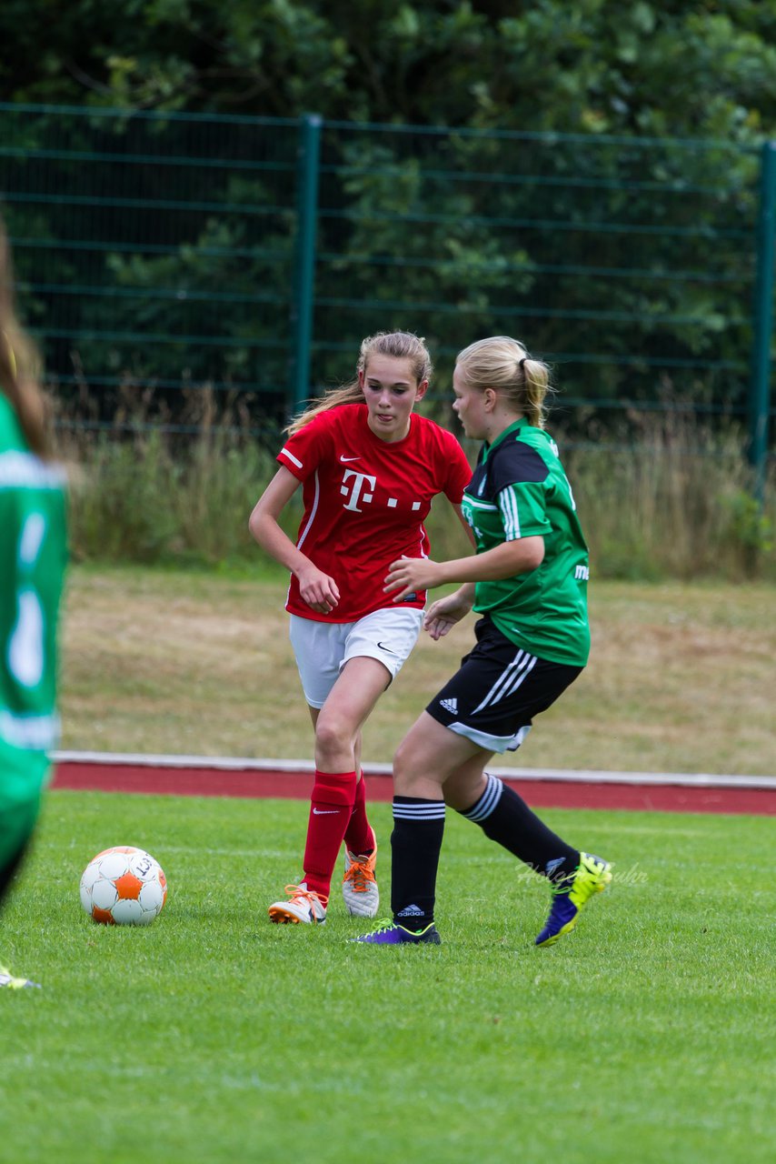 Bild 236 - C-Juniorinnen Landesmeister Finale SV Wahlstedt - TuRa Meldorf : Ergebnis: 1:4